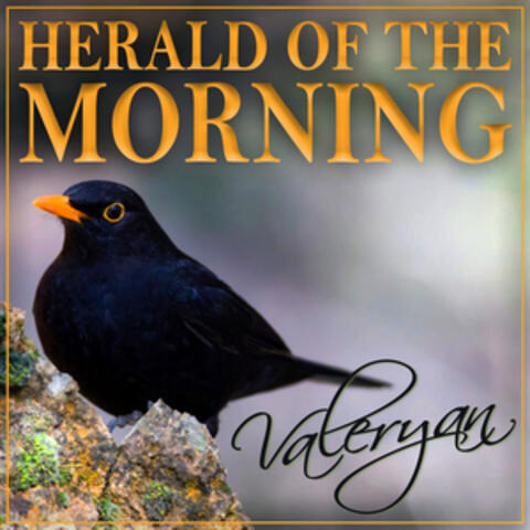 Herald of the Morning