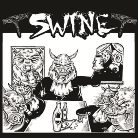 Swine