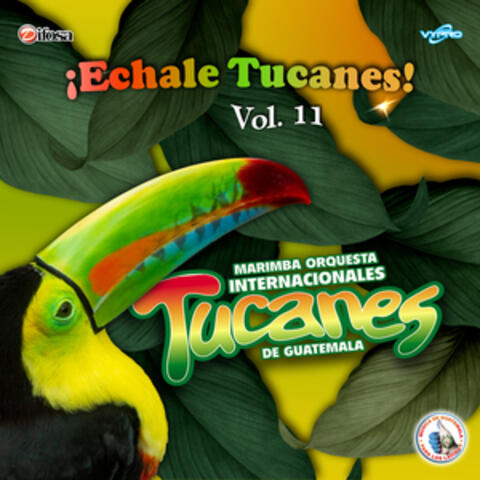 ¡Echale Tucanes! Vol. 11. Música de Guatemala para los Latinos