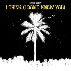 I Think (I Don't Know You)