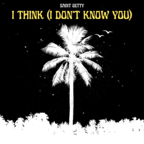 I Think (I Don't Know You)
