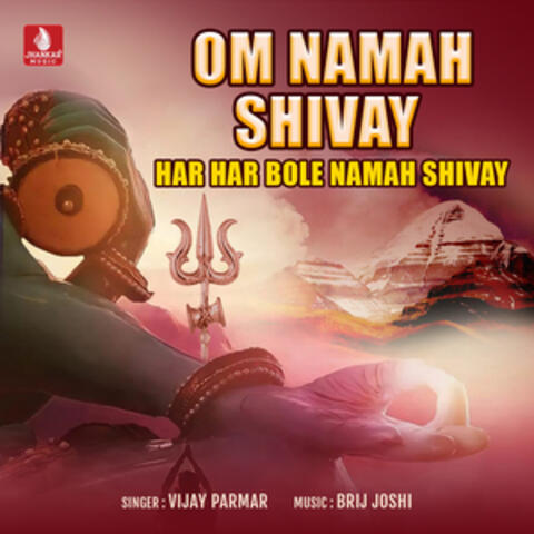 Om Namah Shivay Har Har Bole Namah Shivay - Single