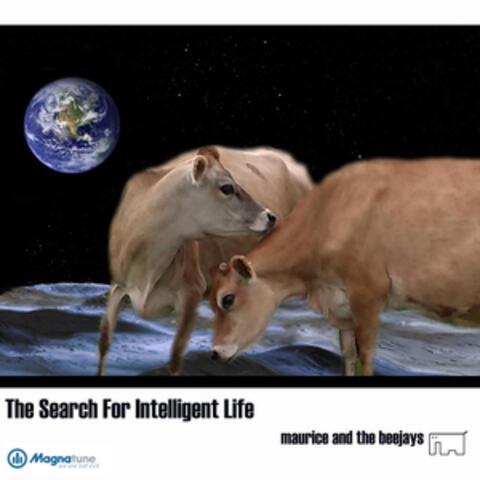 The Search for Intelligent Life