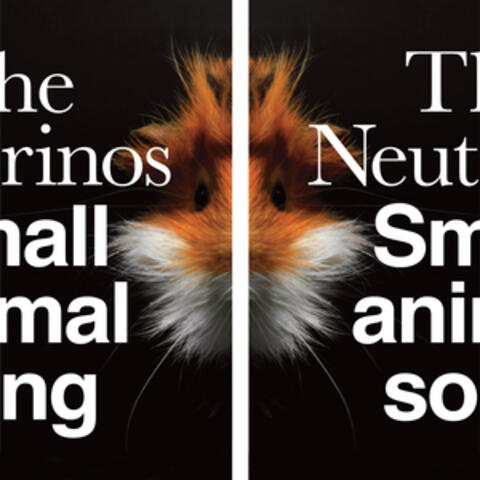 Small Animal Song