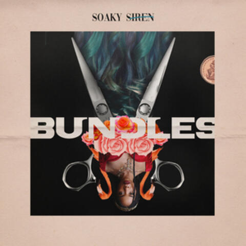 Bundles