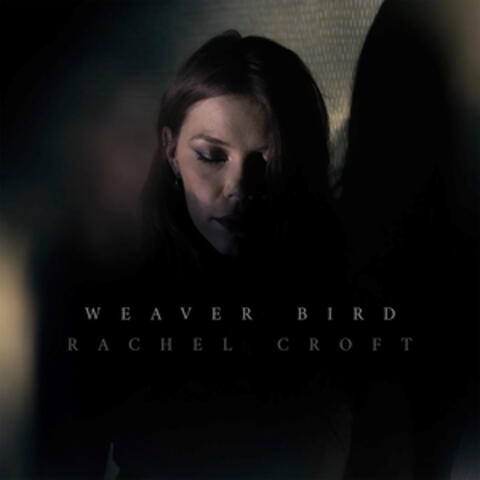 Weaver Bird