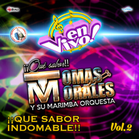 ¡¡Que Sabor Indomable!!, Vol. 2. Música de Guatemala para los Latinos