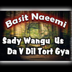 Sady Wangu Us Da V Dil Tort Gya