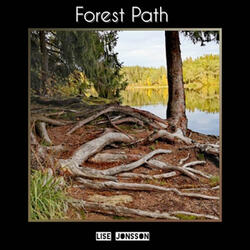 Forest Path
