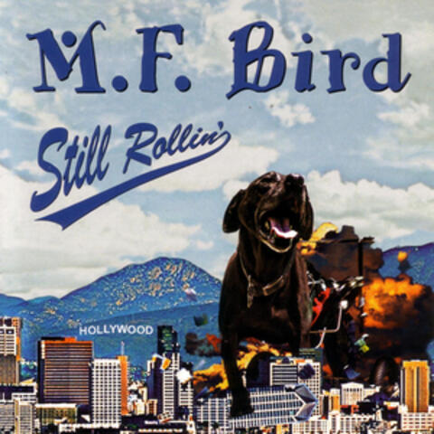 M.F. Bird