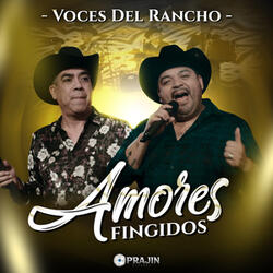 Amores Fingidos