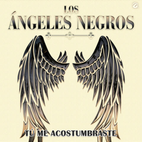 Tú Me Acostumbraste