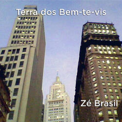 Terra Dos Bem-Te-Vis