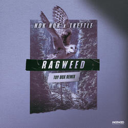Ragweed