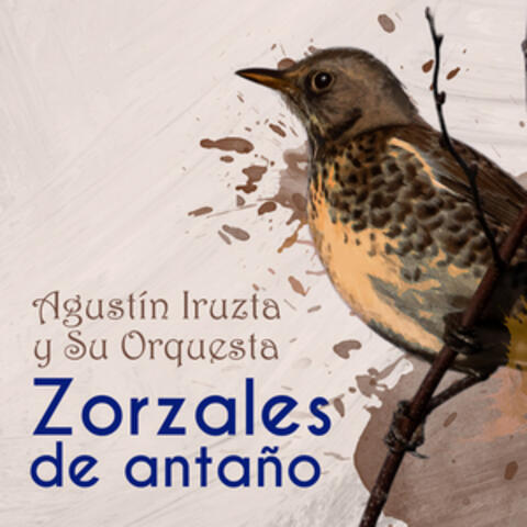 Zorzales de Antaño / Agustin Iruzta y Su Orquesta