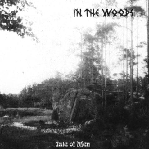 In the Woods...