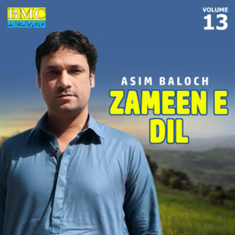 Zameen E Dil, Vol. 13