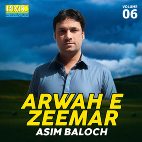 Arwah E Zeemar, Vol. 6