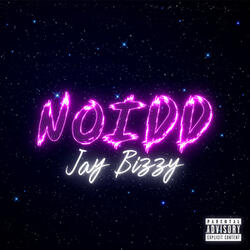 Noidd