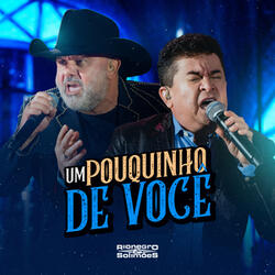 Um Pouquinho de Você