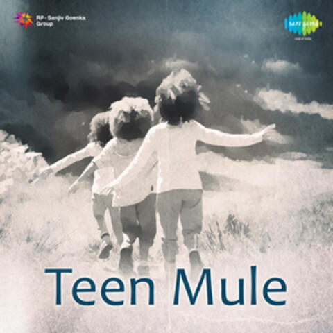 Teen Mule (Original Motion Picture Soundtrack)