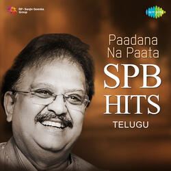 Aaku Chaatu Pindhe (From "Vetagadu")
