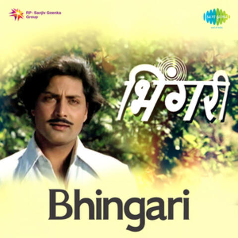 Bhingari (Original Motion Picture Soundtrack)