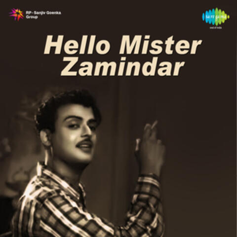 Hello Mister Zamindar (Original Motion Picture Soundtrack)