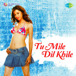 Tu Mile Dil Khile