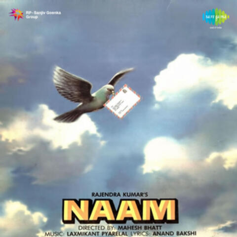Naam (Original Motion Picture Soundtrack)