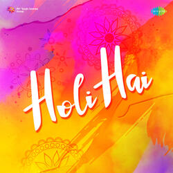 Holi Mein Sadhu Aya Hai