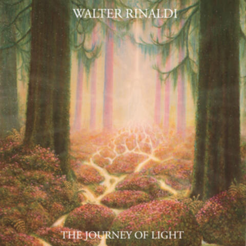 The Journey of Light