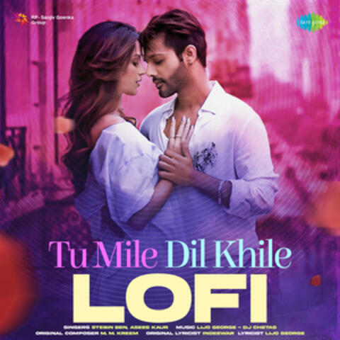 Tu Mile Dil Khile (Lofi) - Single