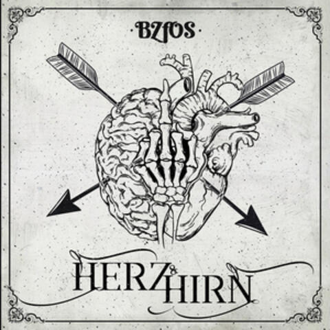 Herz und Hirn