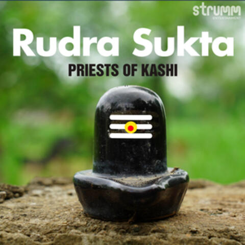 Rudra Sukta