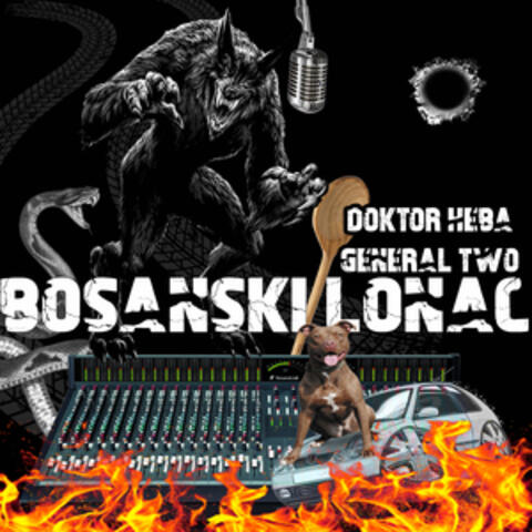 Bosanski Lonac