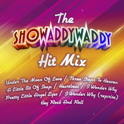 Medley: Under the Moon of Love / Three Steps to Heaven / a Little Bit of Soap / Heartbeat / I Wonder Why / Pretty Little Angel Eyes / I Wonder Why (Reprise) / Hey Rock and Roll