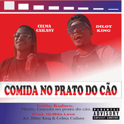 Comida No Prato do Cão