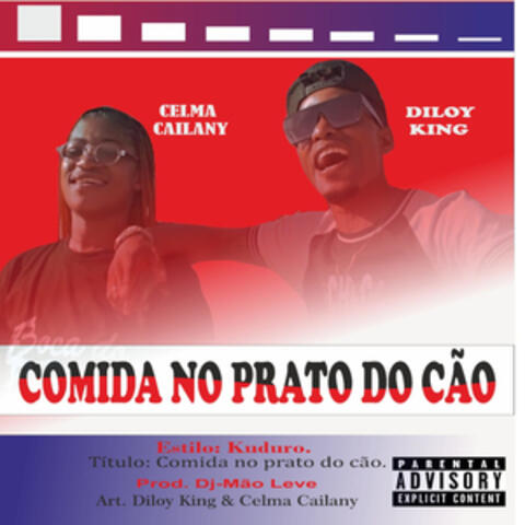 Comida No Prato do Cão