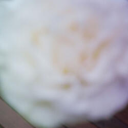 Eponymous Cycle (III)