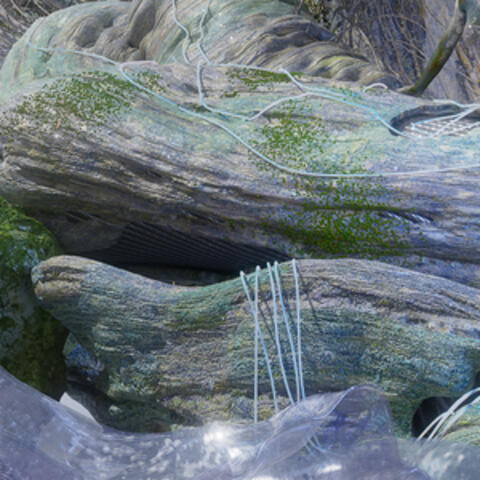 Second Nature