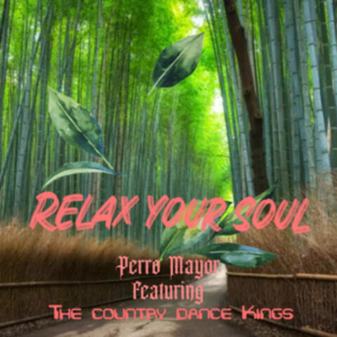 Relax Your Soul