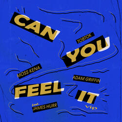 Can You Feel It (feat. James Hurr)
