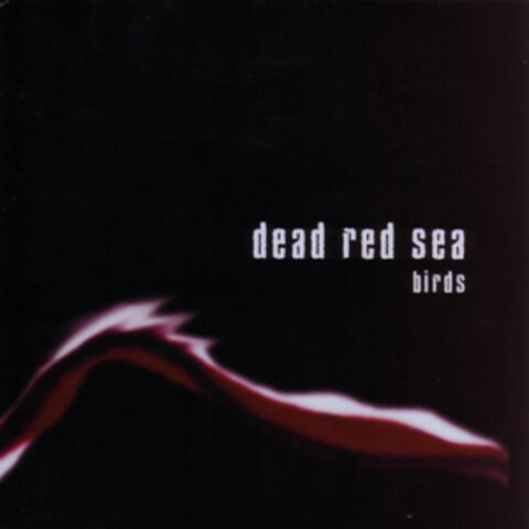 Dead Red Sea