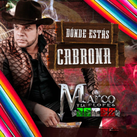 Dónde Estás Cabrona