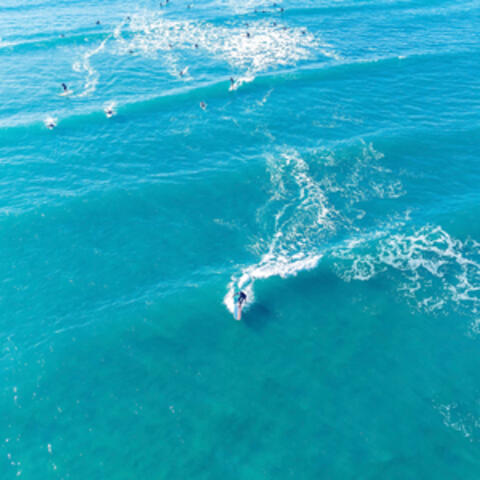 Surf Friends
