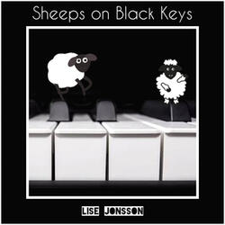 Sheeps on Black Keys