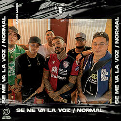 Se me va la voz / Normal