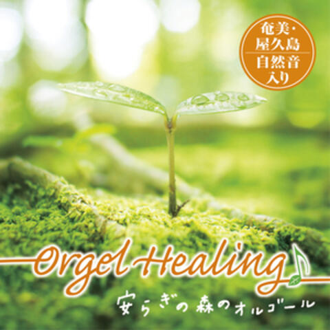 Orgel Healing Relaxin Forest Musics