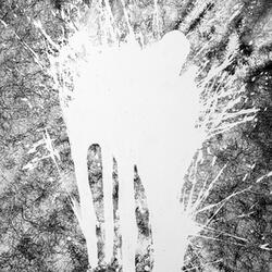 The Eyes Are Leaking